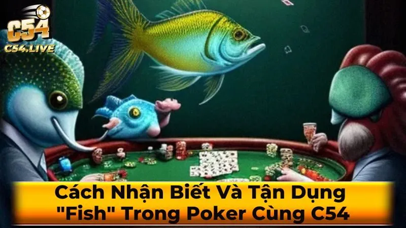 Những Sai Lầm Cần Tránh Khi Đối Đầu với "Fish"