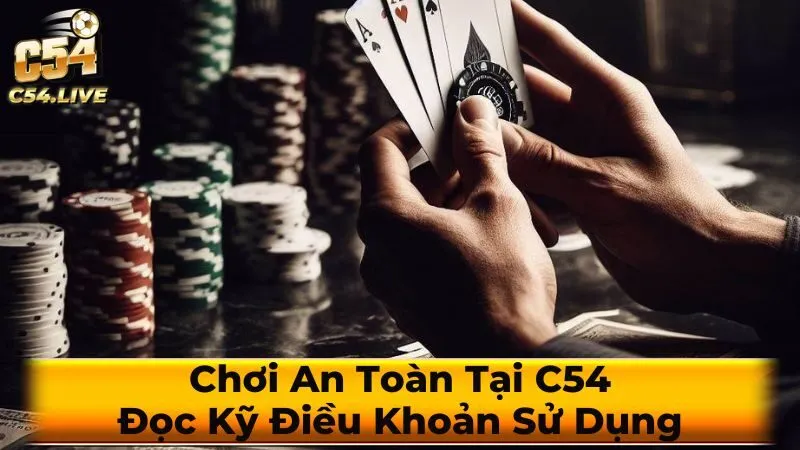 Các điều khoản quan trọng cần lưu ý